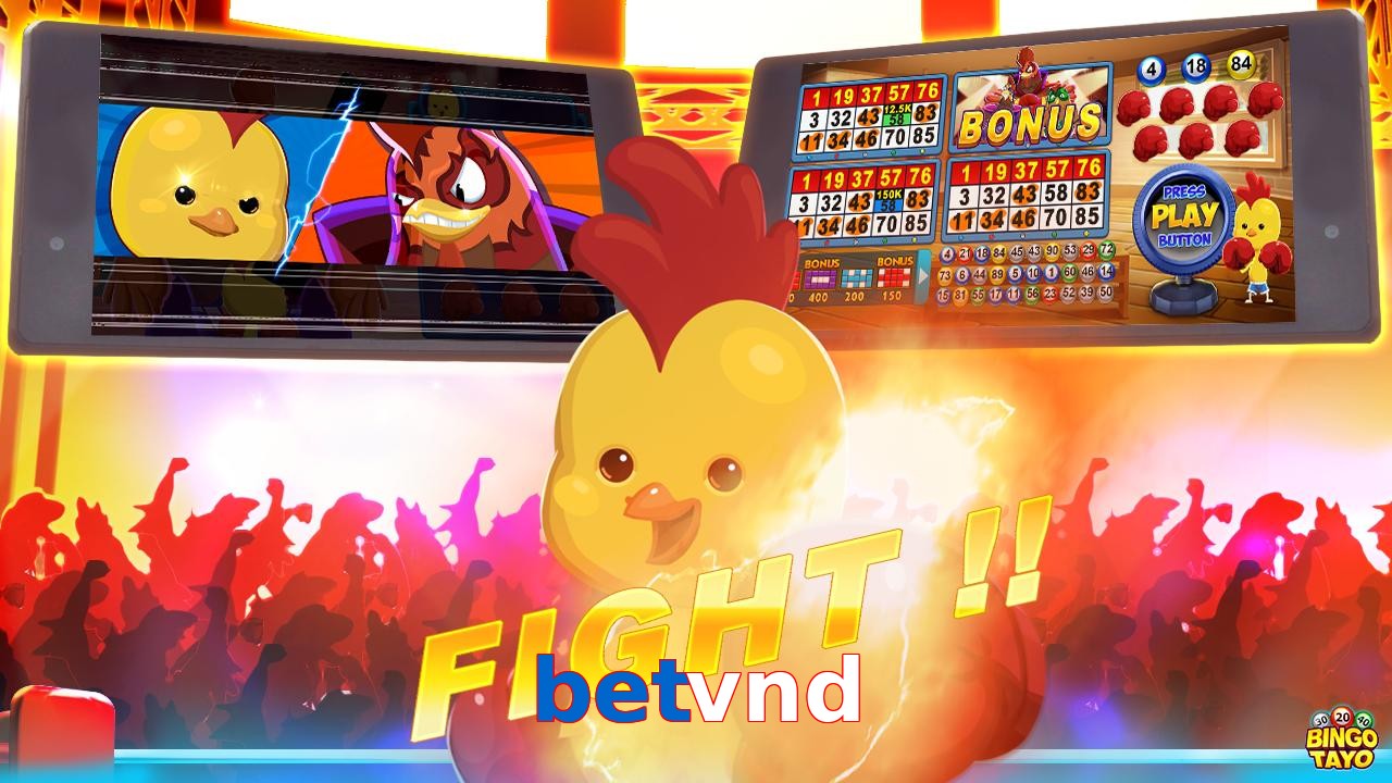 betvnd