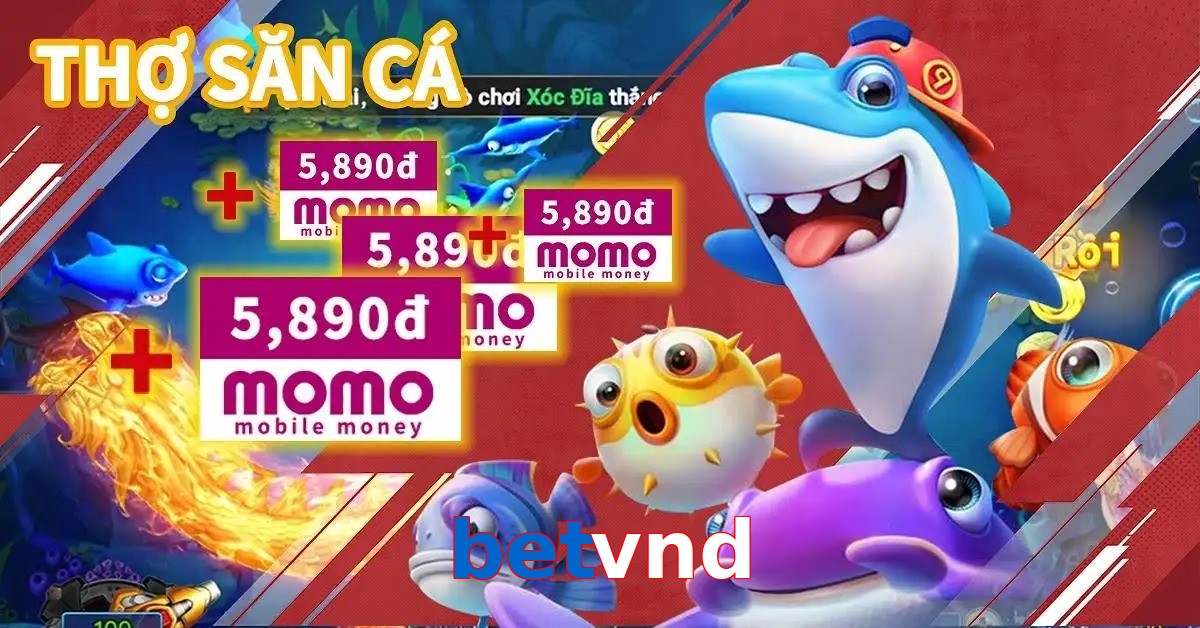 betvnd
